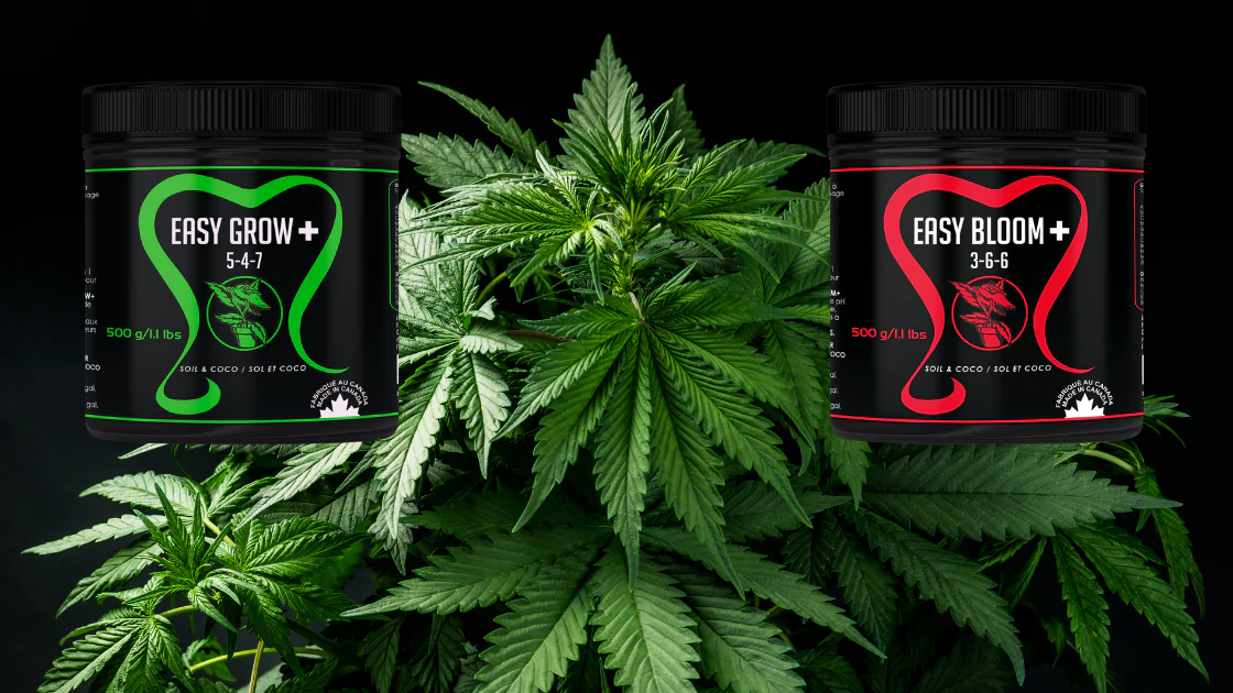 Easy Series Grow Guide