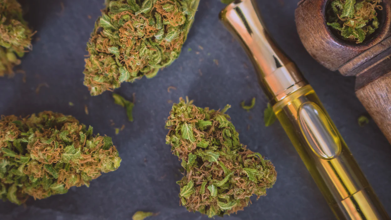Top 20 Strongest Sativa Strains of 2024