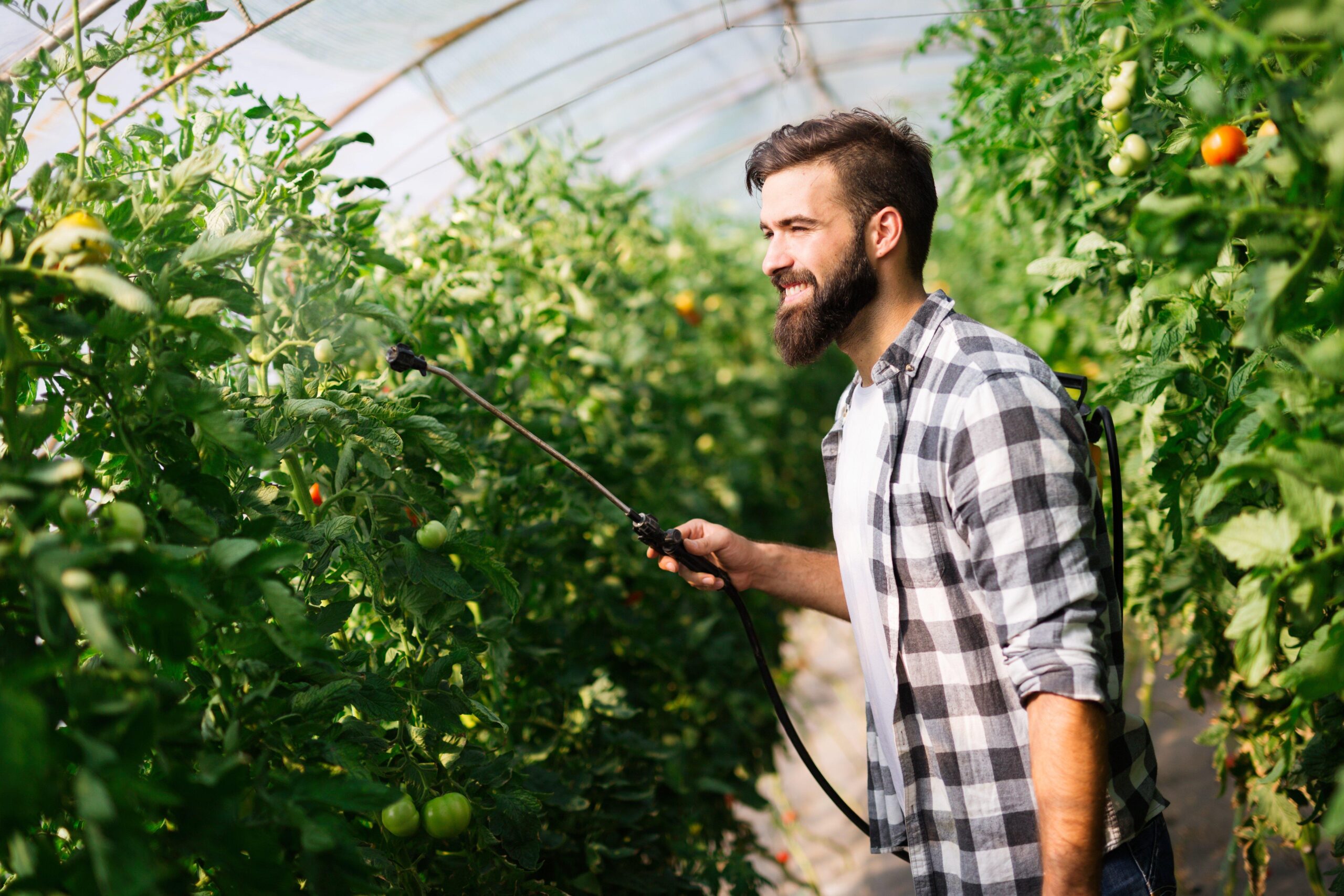 A Growers Guide to Toxicology