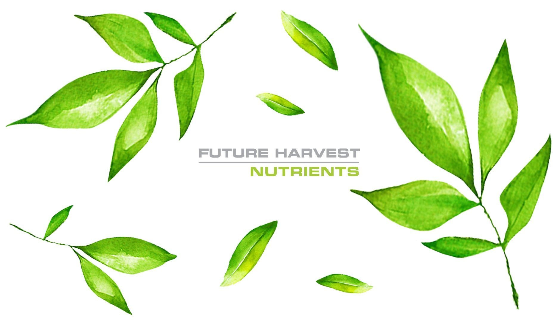 A Guide to Future Harvest’s Additives