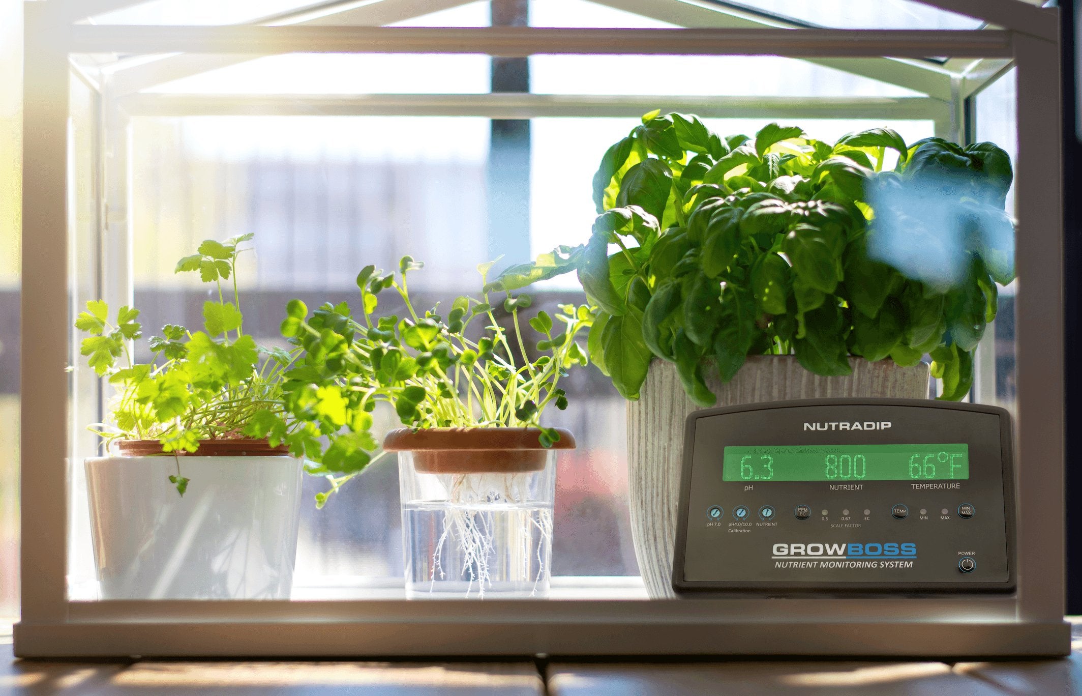 EC 101: A Cannabis Cultivator’s Guide