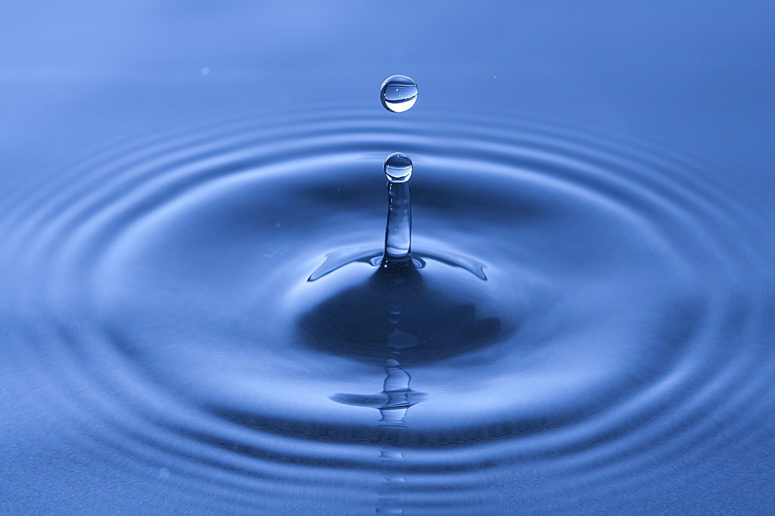Effects of Water Quality in Hydroponics