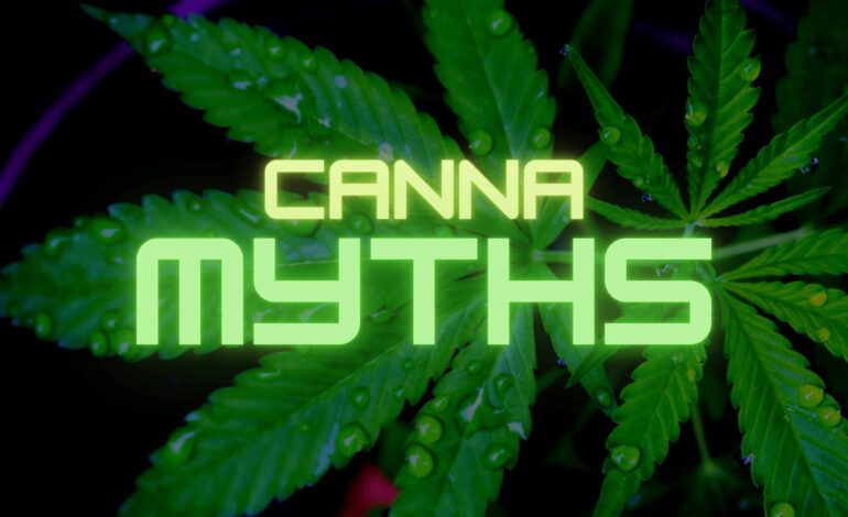 Have You Fallen For These Cannabis Myths?