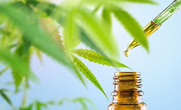 Hemp: Everything You Need to Know