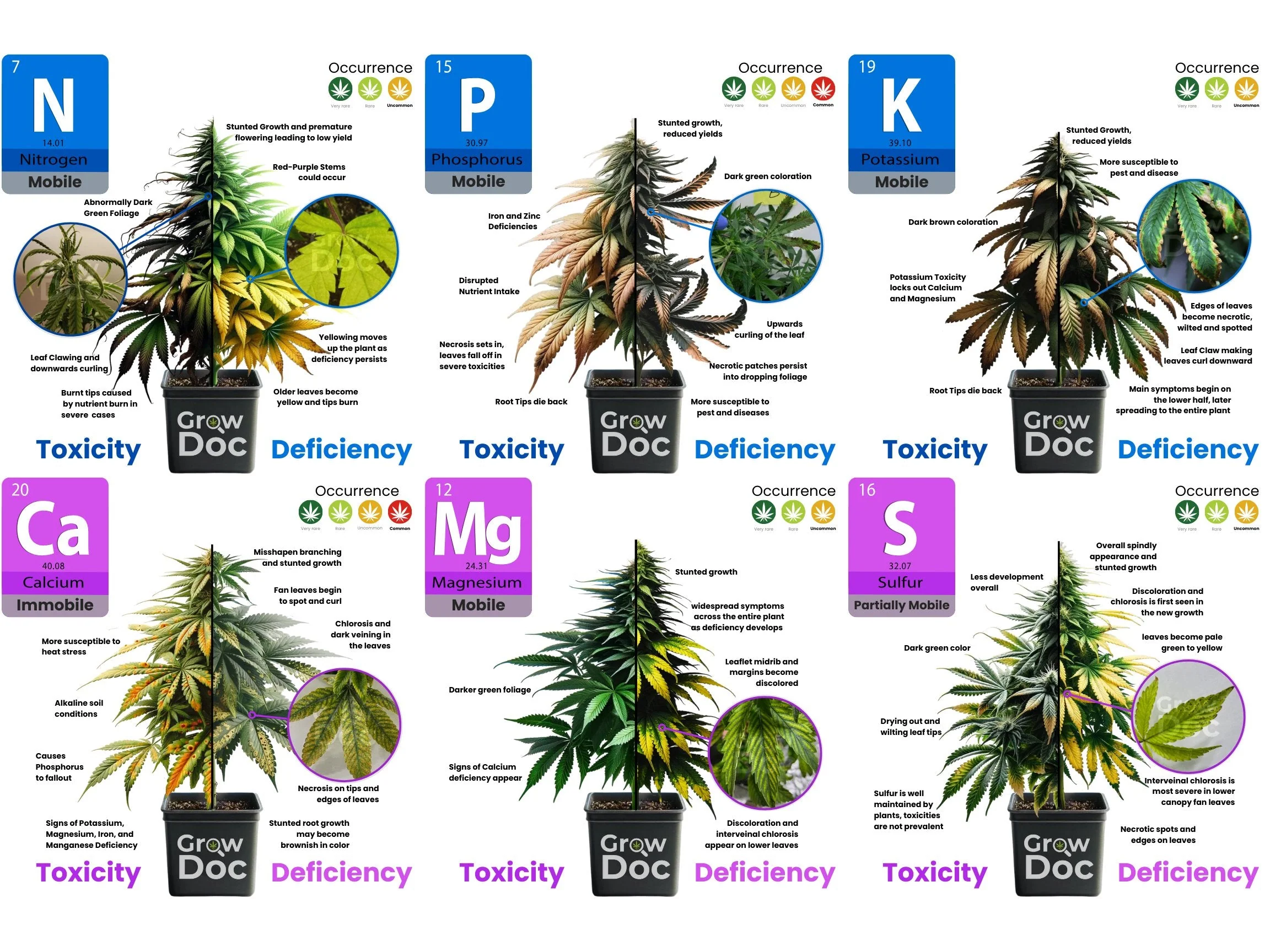 How To Find and Fix Nutrient Deficiencies and Toxicities in Cannabis Plants