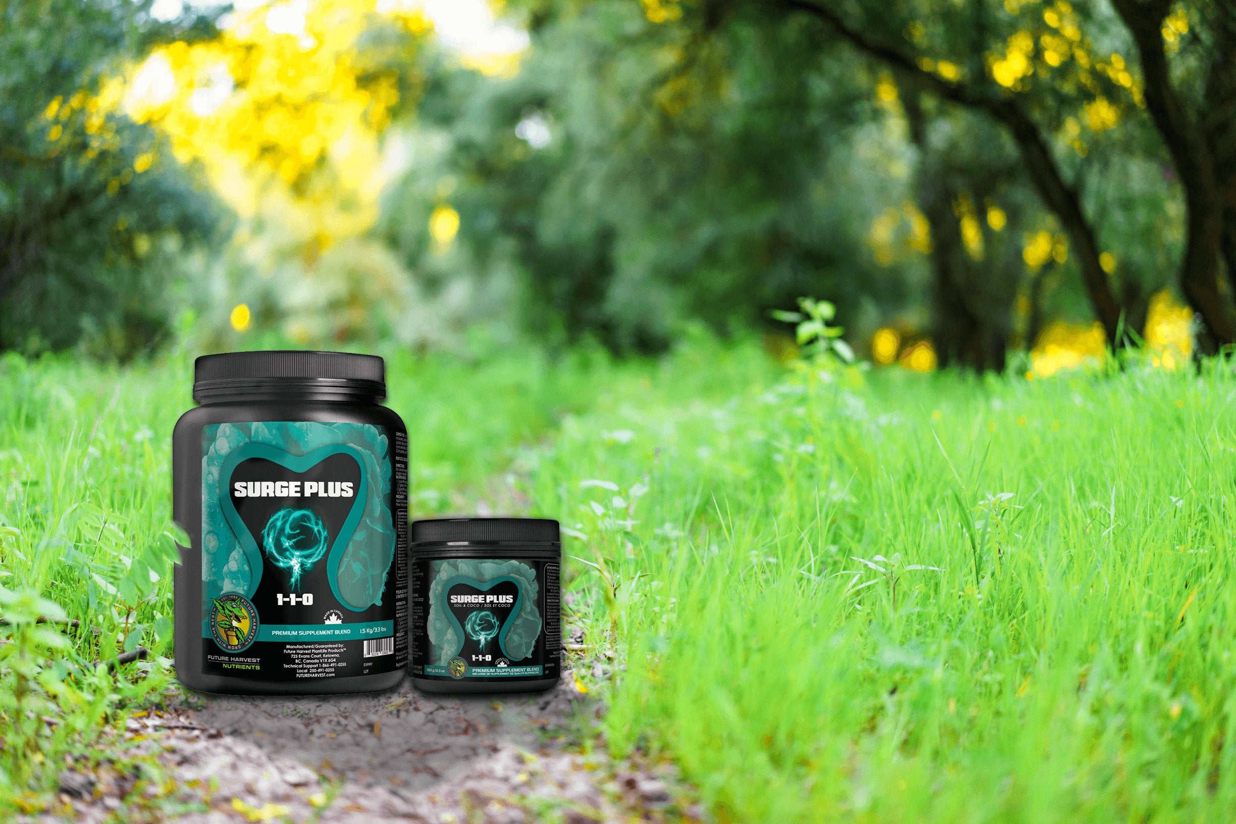 Surge Plus FAQ’s