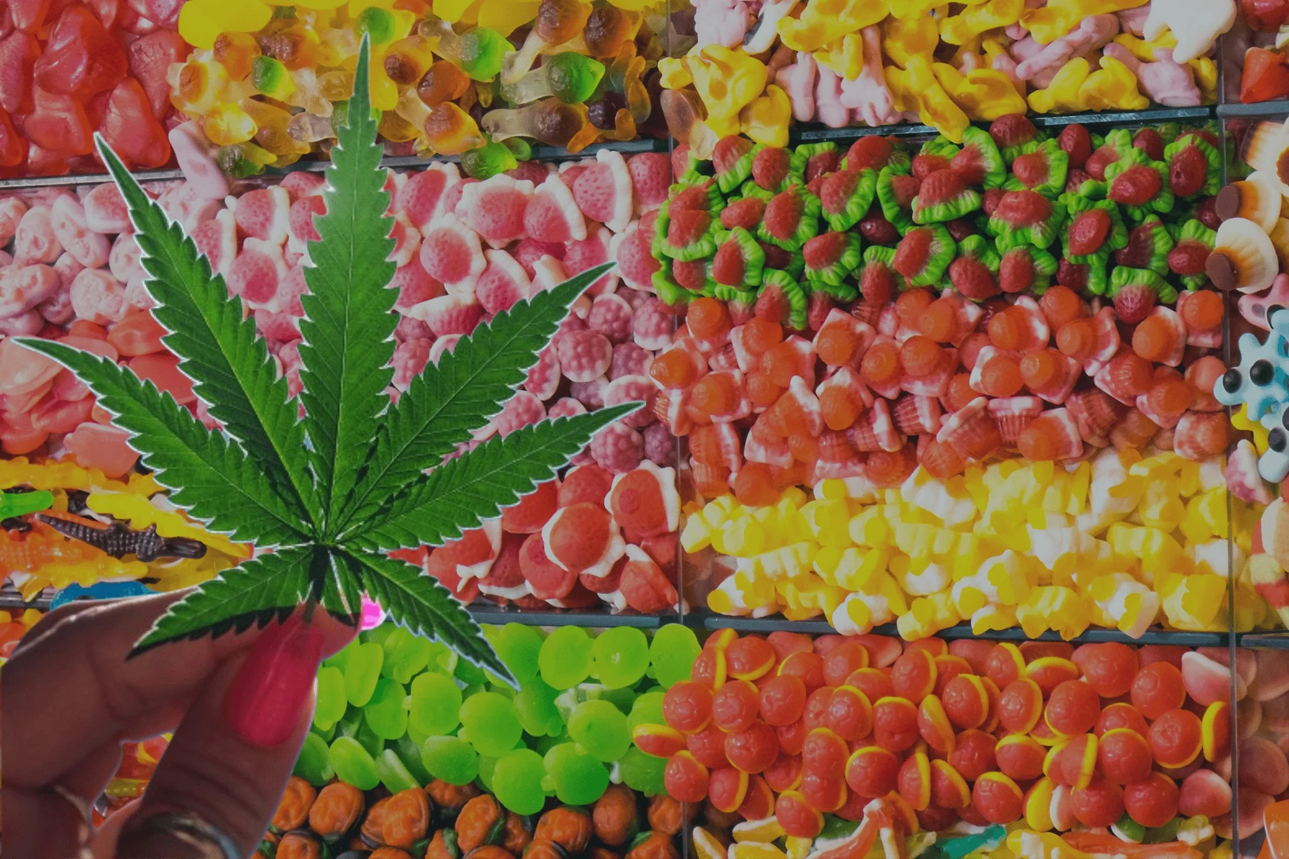 THC Halloween Candy Recipes