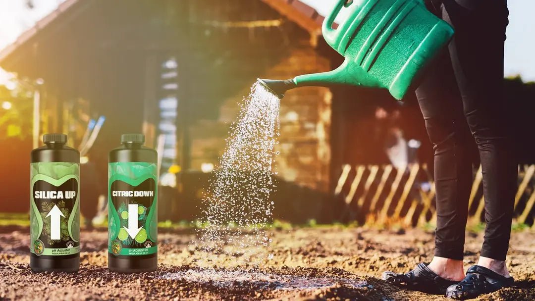 The Growers Guide to pH Adjusters