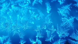 What to do When Your Nutrients Freeze - Future Harvest